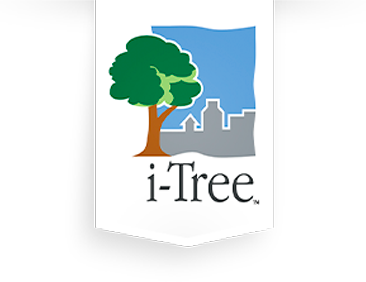 i-Tree label